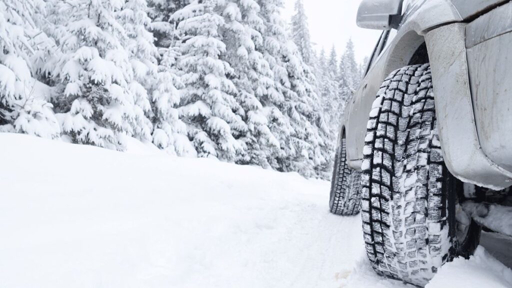 Picture of a forest covered by snow and part of a car