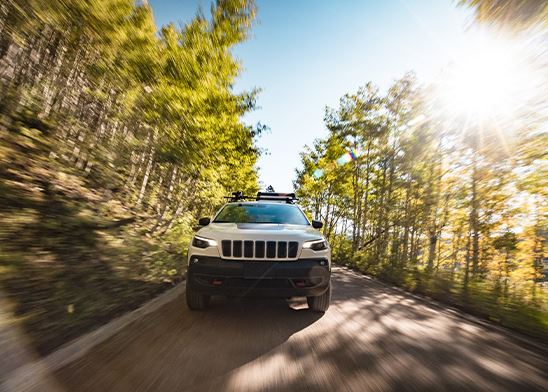 car on a forest road